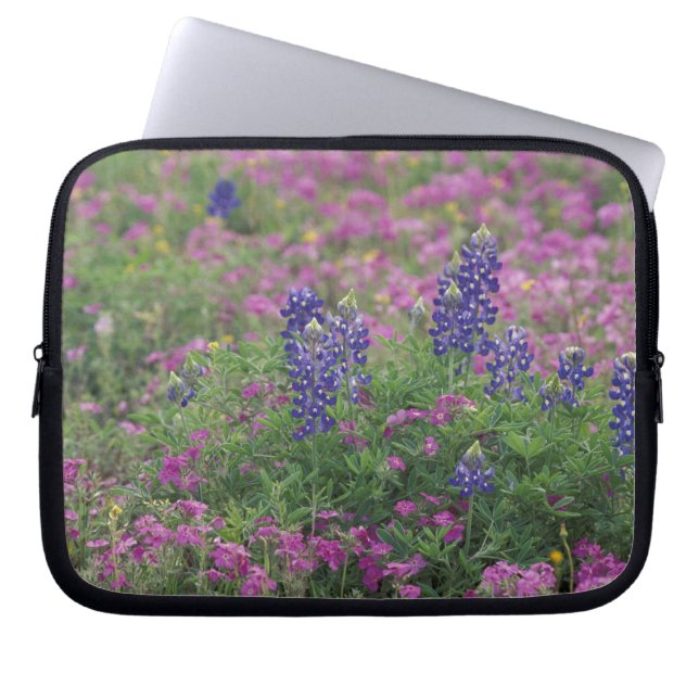 Capa Para Notebook EUA, Texas Hill Country. Bluetooth entre phlox (Frente)