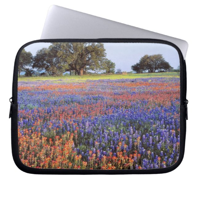 Capa Para Notebook EUA, Texas, Llano. Bluebonnets e redbonnets (Frente)