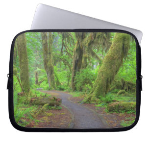Capa Para Notebook EUA, Washington, Parque Nacional Olímpico, Chuva d