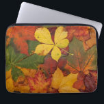 Capa Para Notebook Fall Foliage<br><div class="desc">A colorful collection of fall foliage. A variety of leaves changing color during autumn.</div>