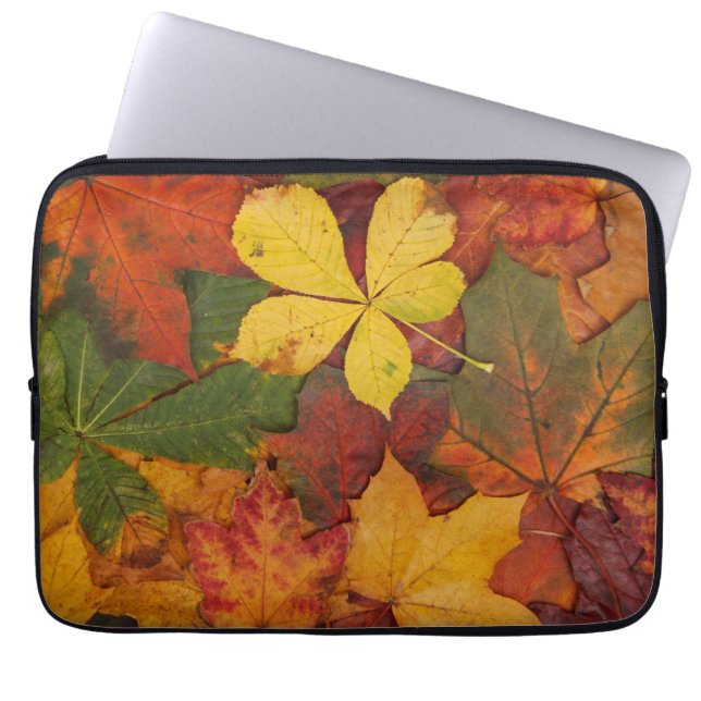 Capa Para Notebook Fall Foliage (Frente)