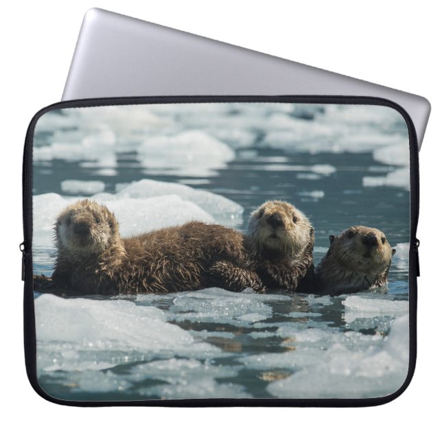 Capa Para Notebook Família Sea Otter (Frente)