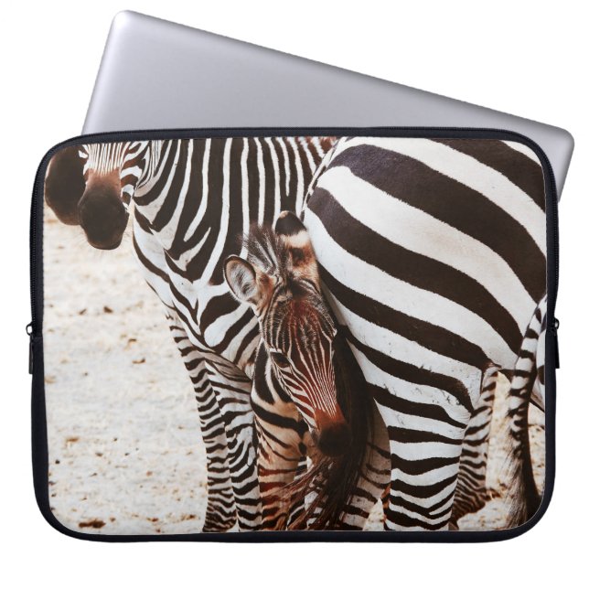 CAPA PARA NOTEBOOK FAMÍLIA ZEBRA (Frente)