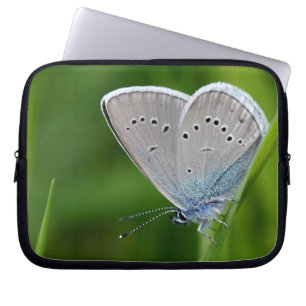 Capa Para Notebook Farfalla Bolsa de laptop