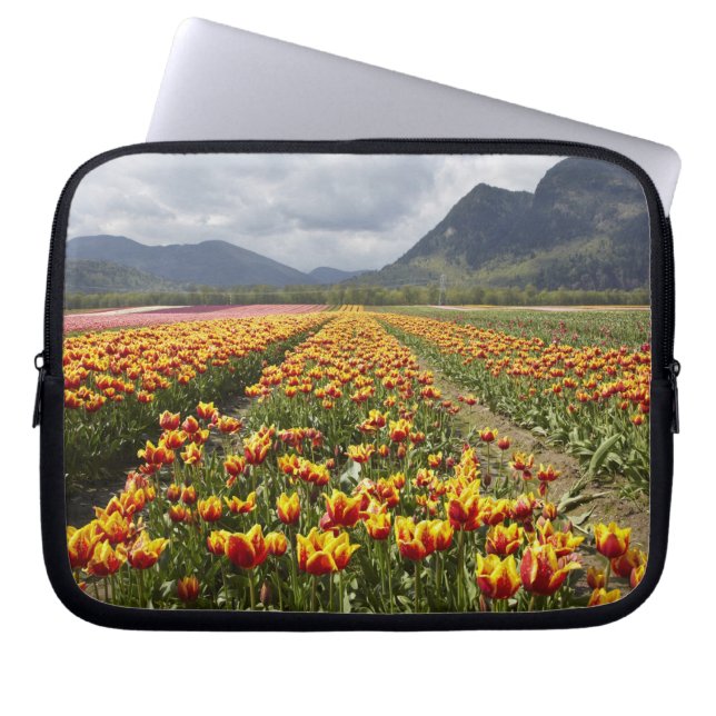 Capa Para Notebook Fazenda de Tulipas perto de Agassiz, Colúmbia Brit (Frente)