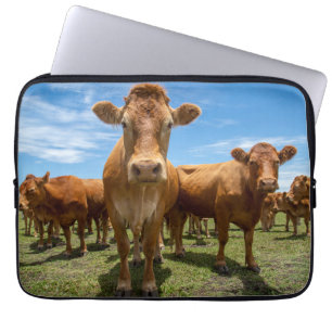 Capa Para Notebook Fazendas Castanho