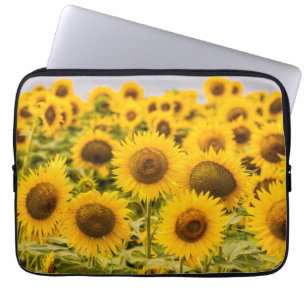 Capa Para Notebook Fazendas Um Campo De Girassol