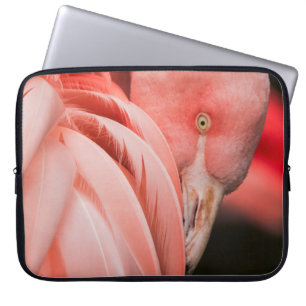 CAPA PARA NOTEBOOK FECHAR A FOTOGRAFIA DE UM PÁSSARO DE PINCO