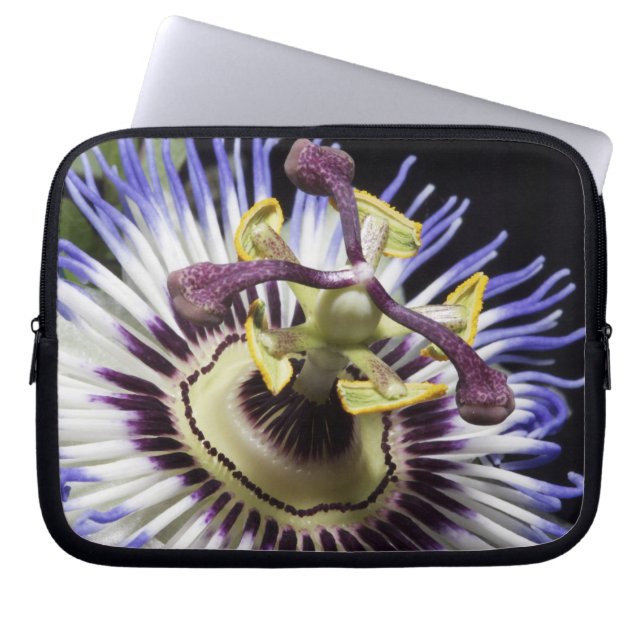 Capa Para Notebook Fecho de Passionflower (MR) (Frente)