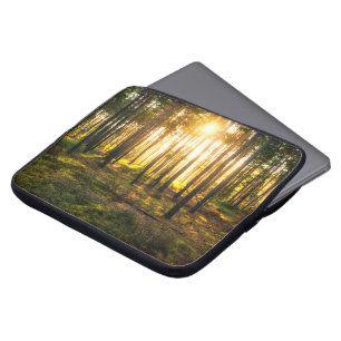 Capa Para Notebook Feixes do Sol brilham na floresta de pinheiros