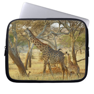 Capa Para Notebook Fêmea adulta e juvenil de Girafa, Giraffa