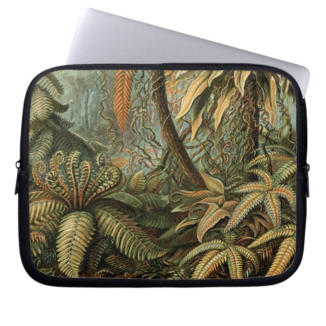 Capa Para Notebook Ferns Palm Tree Arte Botânica Antica (Frente)