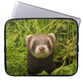 Capa Para Notebook Ferret castanho-bonito na foto de grama