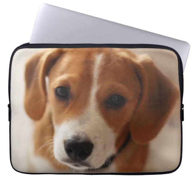 Capa Para Notebook Filhote de cachorro 2 do lebreiro (Frente)