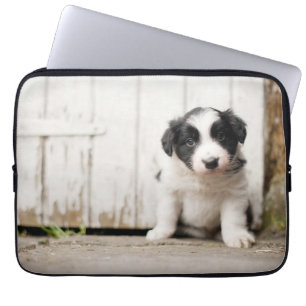 Capa Para Notebook Filhote de cachorro de border collie