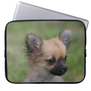 Capa Para Notebook Filhote de cachorro de cabelos compridos da