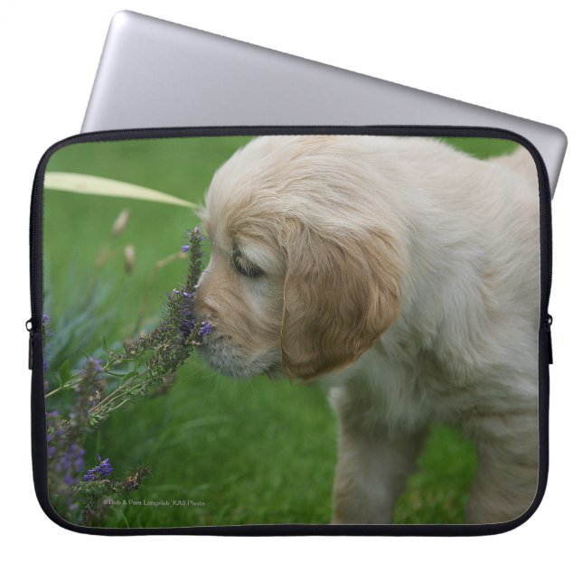 Capa Para Notebook Filhote de cachorro do golden retriever (Frente)