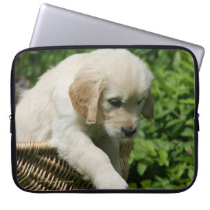 Capa Para Notebook Filhote de cachorro do golden retriever na cesta