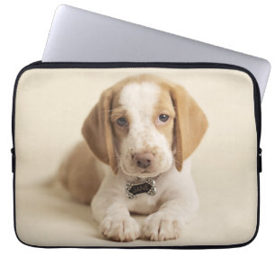 Capa Para Notebook Filhote de cachorro do lebreiro