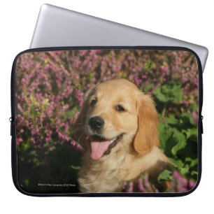 Capa Para Notebook Filhote de cachorro dourado de Retreiver