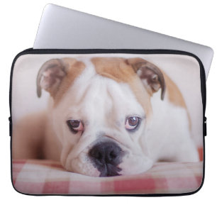 Capa Para Notebook Filhote de cachorro inglês tímido do buldogue