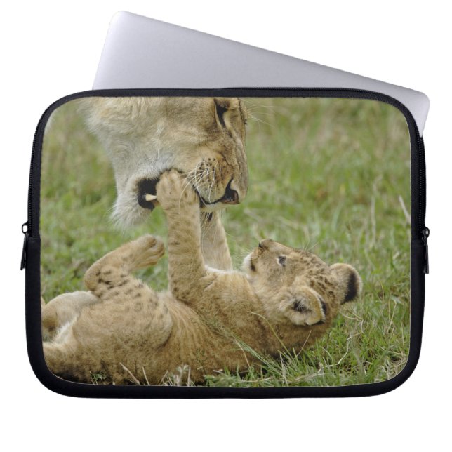 Capa Para Notebook Filhote de Leão Brincando (Frente)