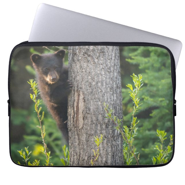 Capa Para Notebook Filhote de Urso Negro na Primavera (Frente)
