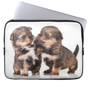 Capa Para Notebook Filhotes de cachorro bonitos do yorkshire terrier