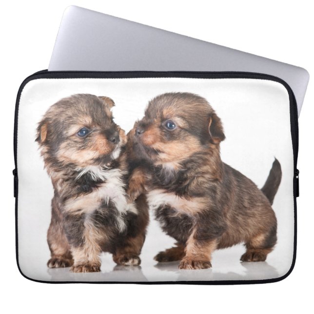Capa Para Notebook Filhotes de cachorro bonitos do yorkshire terrier (Frente)