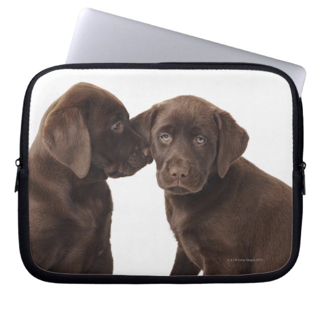 Capa Para Notebook Filhotes de cachorro de labrador retriever do (Frente)