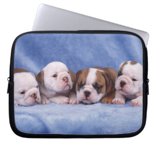 Capa Para Notebook Filhotes de cachorro do buldogue