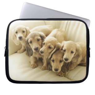 Capa Para Notebook Filhotes de cachorro do Wiener