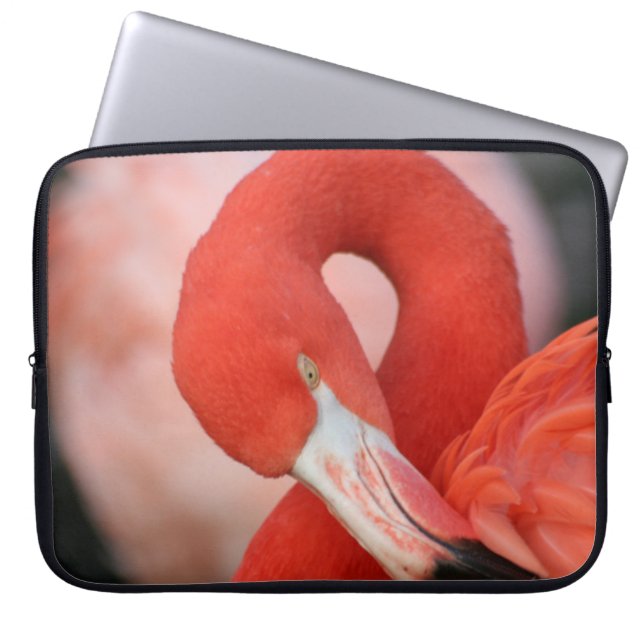 Capa Para Notebook Flamingo 001 (Frente)