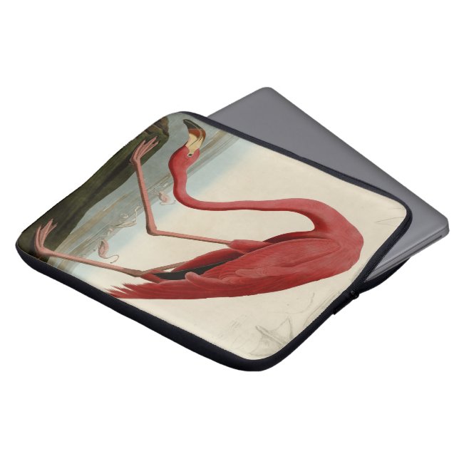 Capa Para Notebook Flamingo americano (Frente Topo)