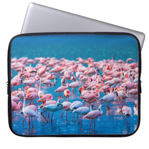 Capa Para Notebook flamingos africanos. Grupo de flamingos