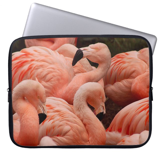 Capa Para Notebook flamingos cor-de-rosa (Frente)