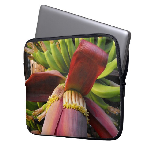 Capa Para Notebook Flor de Banana (Frente Esquerda)