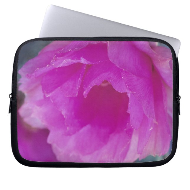 Capa Para Notebook Flor de Cactusouriço Rosa (Echinocereus (Frente)