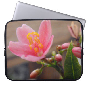 Capa Para Notebook Flor de Jatropha Rosa Suave