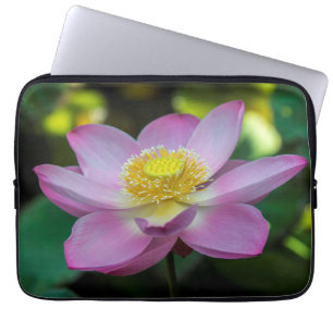 Capa Para Notebook Flor de lótus em flor, Indonésia