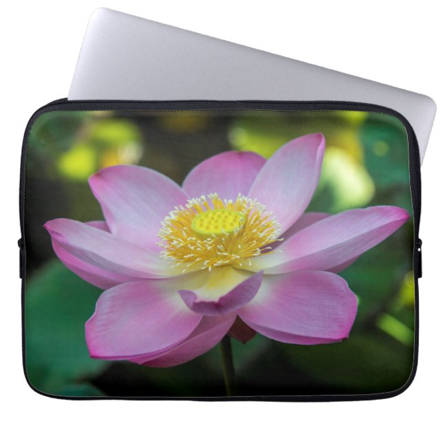 Capa Para Notebook Flor de lótus em flor, Indonésia (Frente)