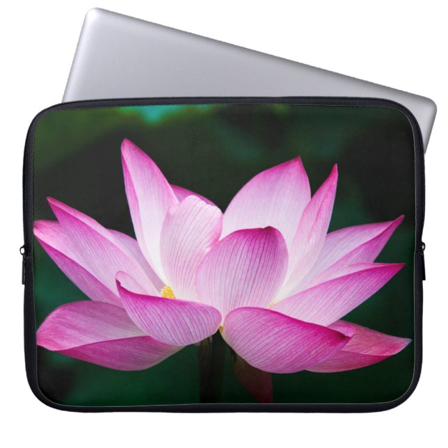 Capa Para Notebook Flor de Lotus Rosa (Frente)