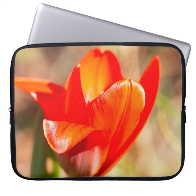 Capa Para Notebook Flor de Tulipas Vermelhas (Frente)