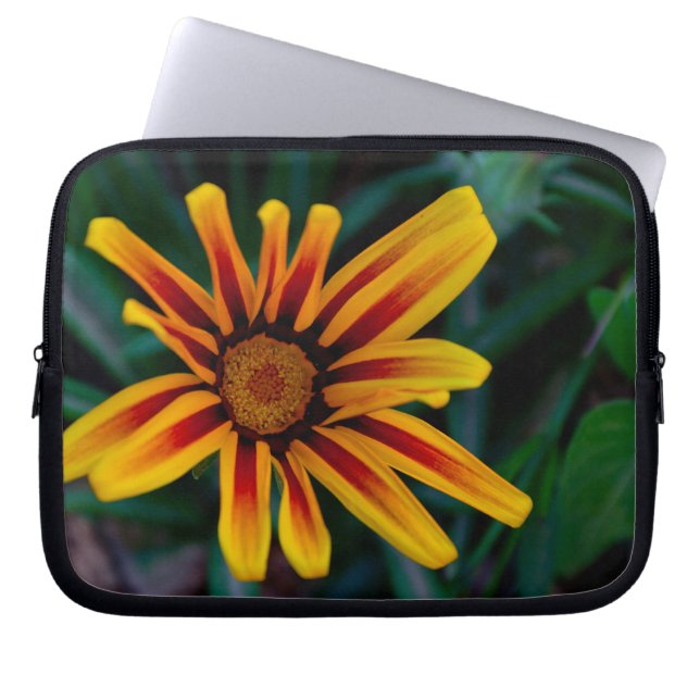 Capa Para Notebook Flor Gazania (Frente)