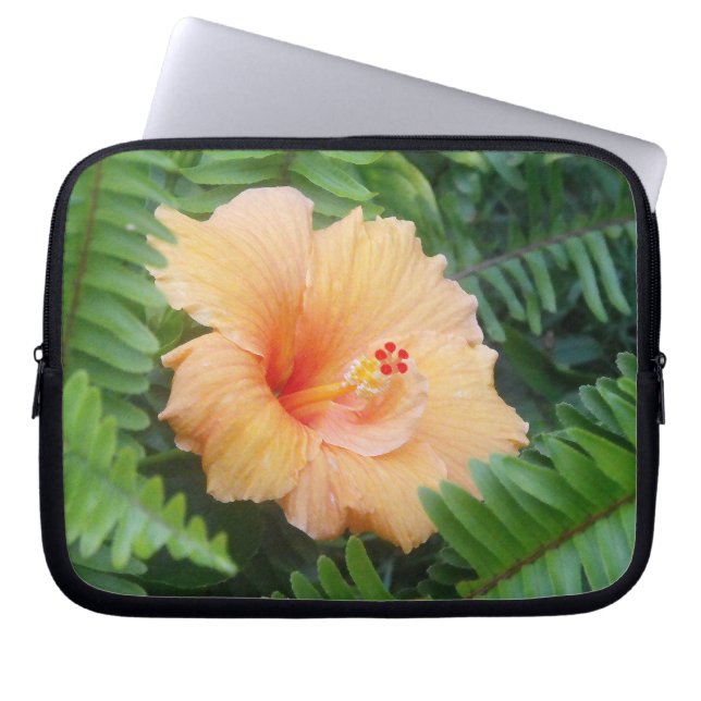 Capa Para Notebook Flor Laranja Hibiscus com Ferns (Frente)