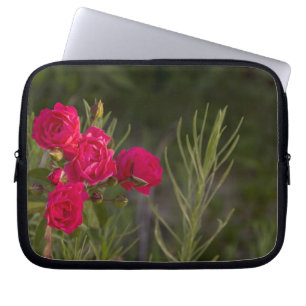 Capa Para Notebook Flor rosa