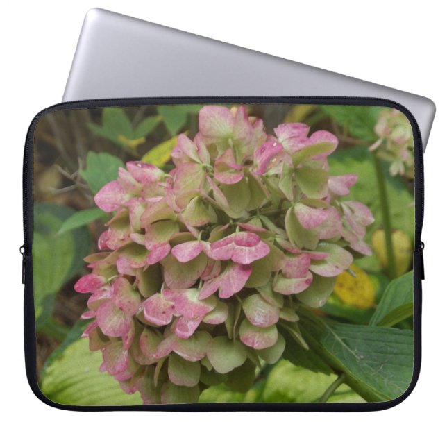 Capa Para Notebook Floração de Hortênsia de Outono com Folhas de Host (Frente)