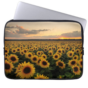 Capa Para Notebook Flores Campo de girassol
