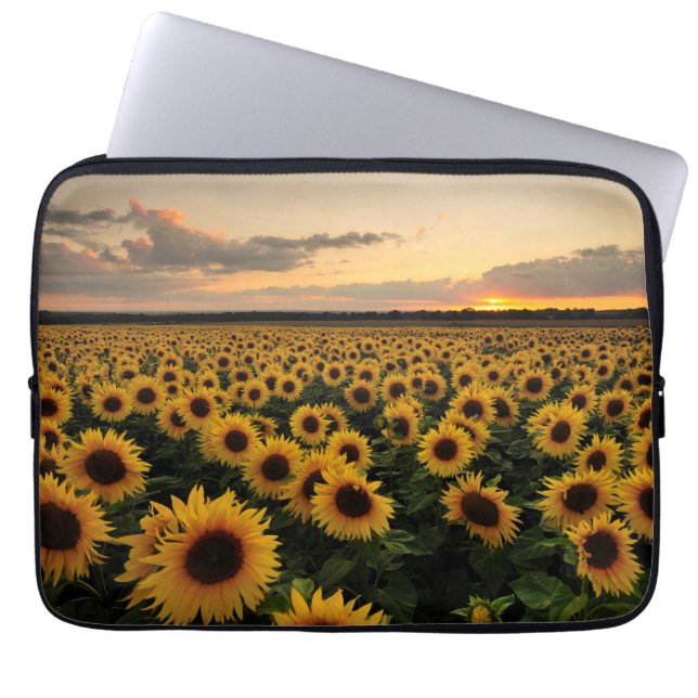 Capa Para Notebook Flores | Campo de girassol (Frente)