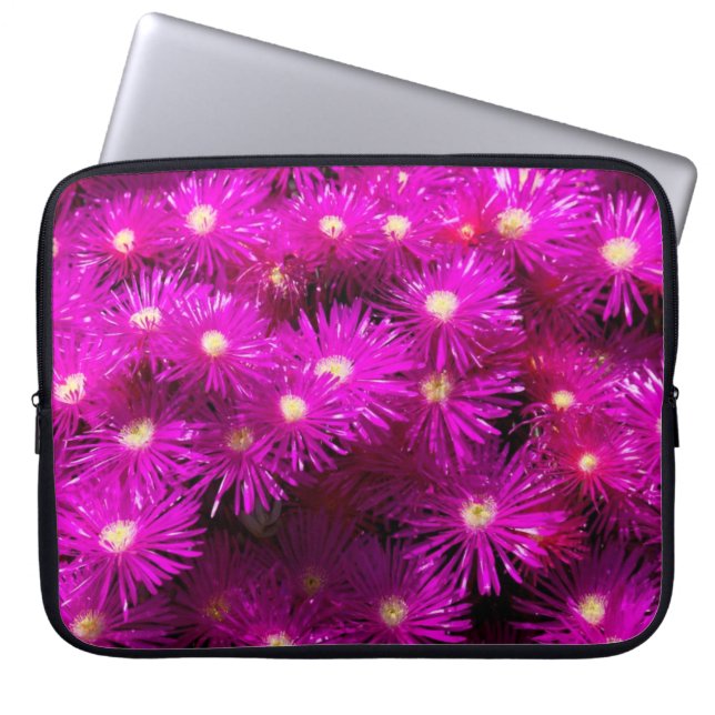 Capa Para Notebook Flores de Aster Rosa (Frente)